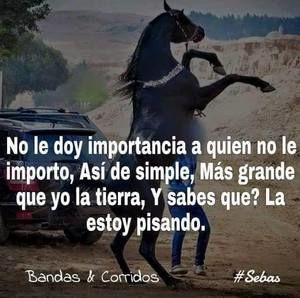 Meet your Posher, Alma